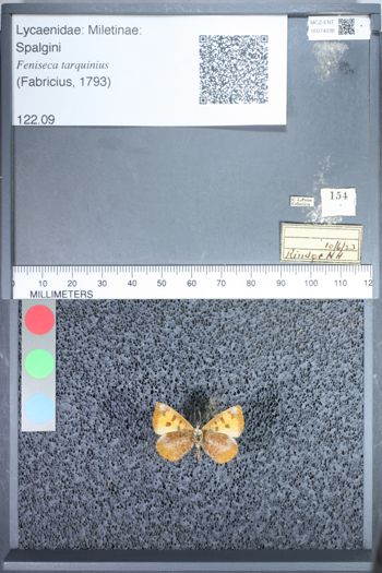 Media type: image;   Entomology 74038
